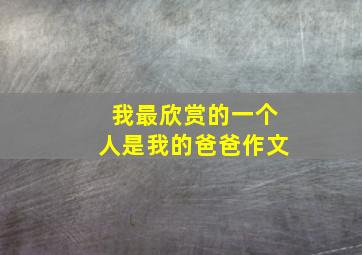 我最欣赏的一个人是我的爸爸作文