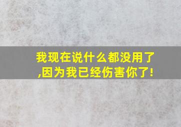 我现在说什么都没用了,因为我已经伤害你了!