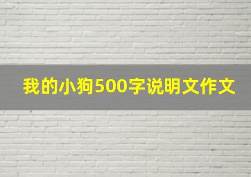 我的小狗500字说明文作文