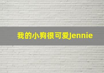 我的小狗很可爱Jennie