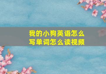 我的小狗英语怎么写单词怎么读视频