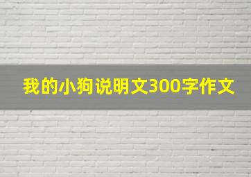 我的小狗说明文300字作文