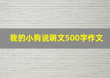 我的小狗说明文500字作文