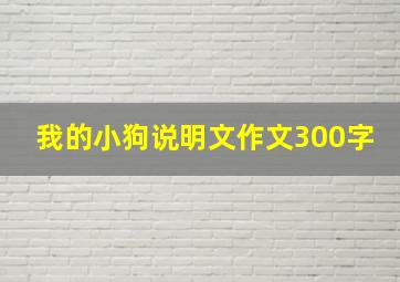 我的小狗说明文作文300字