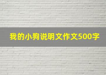 我的小狗说明文作文500字