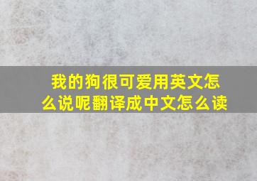 我的狗很可爱用英文怎么说呢翻译成中文怎么读