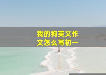 我的狗英文作文怎么写初一