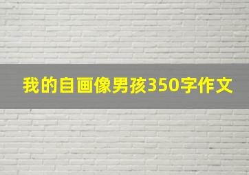 我的自画像男孩350字作文