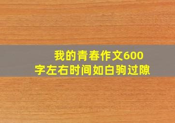 我的青春作文600字左右时间如白驹过隙