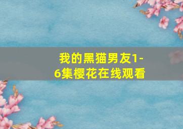 我的黑猫男友1-6集樱花在线观看