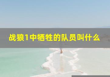 战狼1中牺牲的队员叫什么