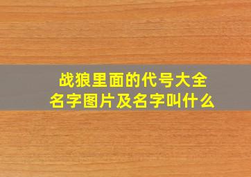 战狼里面的代号大全名字图片及名字叫什么