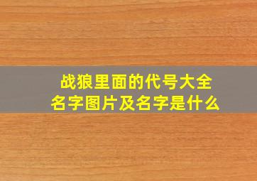 战狼里面的代号大全名字图片及名字是什么