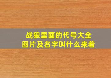 战狼里面的代号大全图片及名字叫什么来着