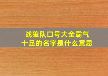 战狼队口号大全霸气十足的名字是什么意思