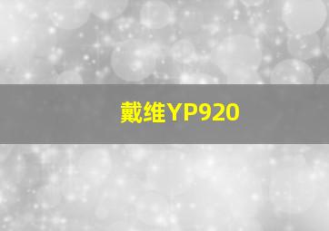 戴维YP920