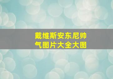 戴维斯安东尼帅气图片大全大图