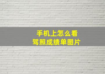 手机上怎么看驾照成绩单图片