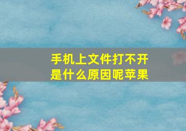 手机上文件打不开是什么原因呢苹果