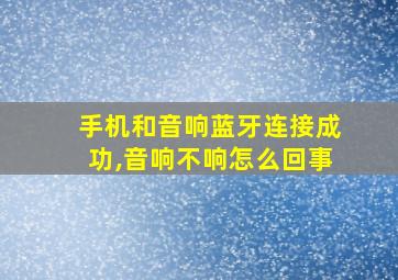 手机和音响蓝牙连接成功,音响不响怎么回事