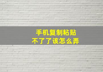 手机复制粘贴不了了该怎么弄