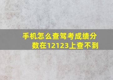 手机怎么查驾考成绩分数在12123上查不到