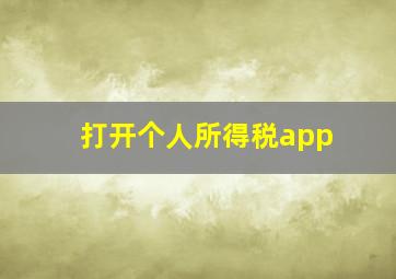 打开个人所得税app