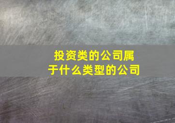 投资类的公司属于什么类型的公司