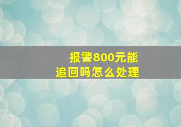 报警800元能追回吗怎么处理