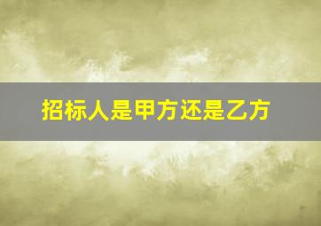 招标人是甲方还是乙方