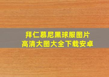 拜仁慕尼黑球服图片高清大图大全下载安卓