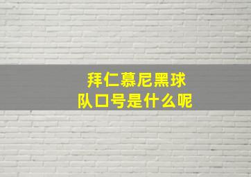 拜仁慕尼黑球队口号是什么呢