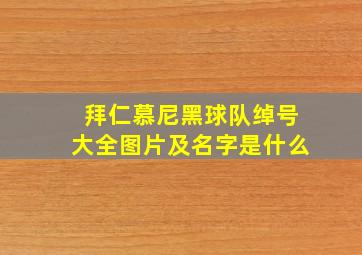 拜仁慕尼黑球队绰号大全图片及名字是什么