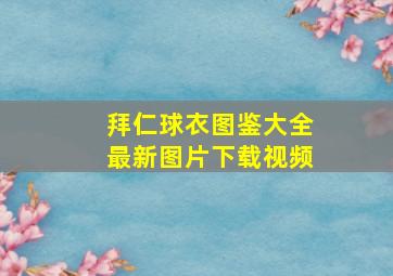 拜仁球衣图鉴大全最新图片下载视频