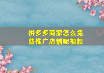 拼多多商家怎么免费推广店铺呢视频