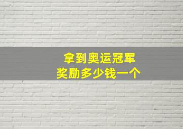 拿到奥运冠军奖励多少钱一个