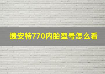 捷安特770内胎型号怎么看