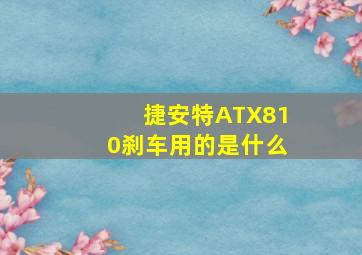 捷安特ATX810刹车用的是什么