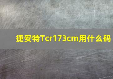 捷安特Tcr173cm用什么码