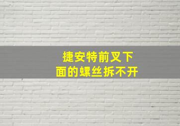 捷安特前叉下面的螺丝拆不开