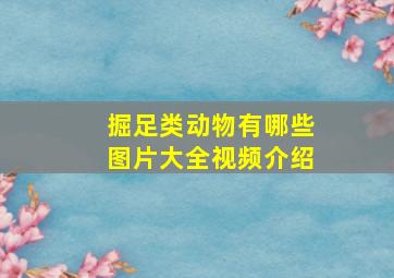 掘足类动物有哪些图片大全视频介绍