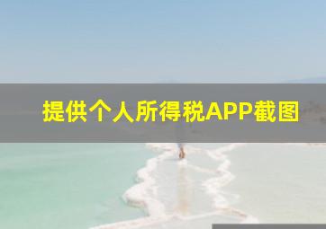 提供个人所得税APP截图