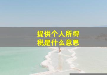 提供个人所得税是什么意思