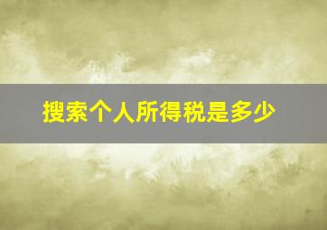 搜索个人所得税是多少