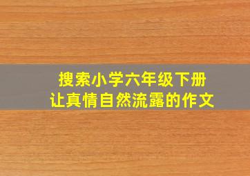 搜索小学六年级下册让真情自然流露的作文