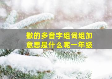 撒的多音字组词组加意思是什么呢一年级