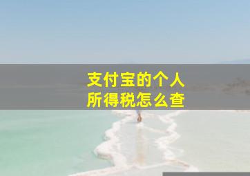 支付宝的个人所得税怎么查