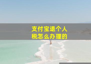 支付宝退个人税怎么办理的