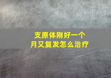 支原体刚好一个月又复发怎么治疗