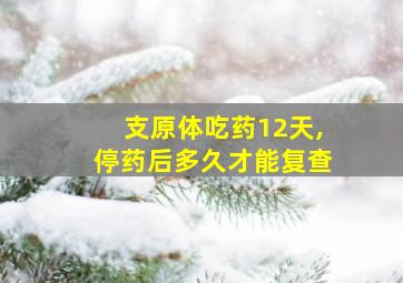 支原体吃药12天,停药后多久才能复查